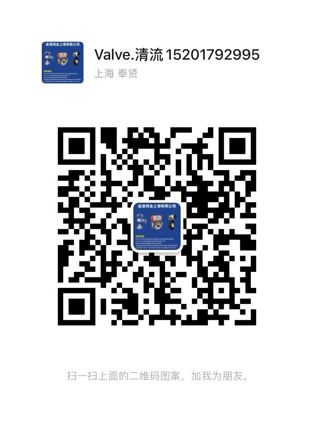 金湛阀业(上海)有限公司
